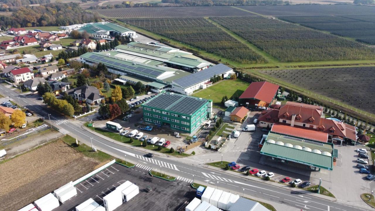 Hotel Kralj Donji Kraljevoc Екстер'єр фото